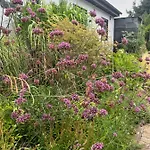 Сasa de vacaciones Atelier De Pfalz-loftstyl Mit Pfalzblick