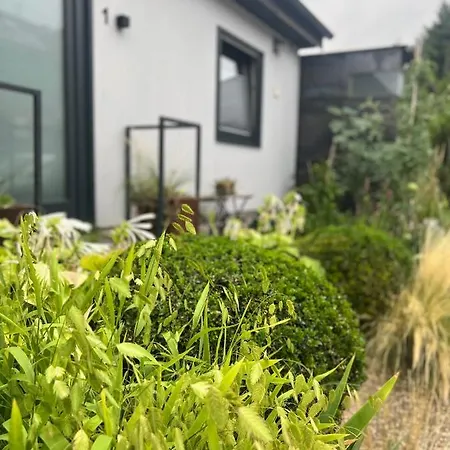 Atelier De Pfalz-loftstyl Mit Pfalzblick Dom wakacyjny