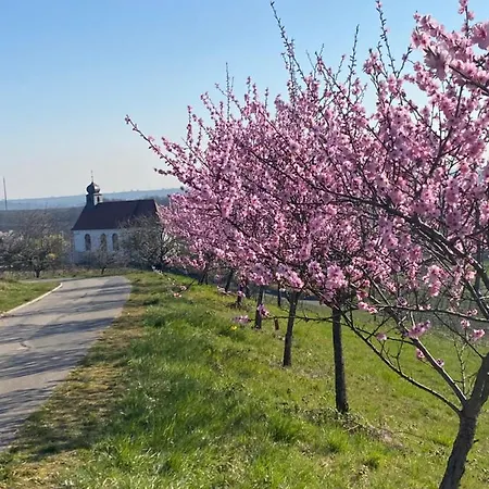 Atelier De Pfalz-loftstyl Mit Pfalzblick Holiday home *