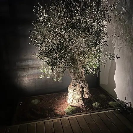 Atelier De Pfalz-loftstyl Mit Pfalzblick Gleiszellen-Gleishorbach