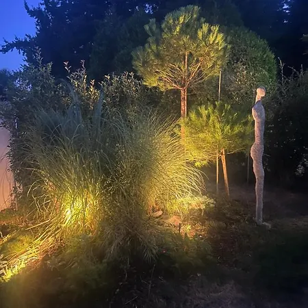 Atelier De Pfalz-loftstyl Mit Pfalzblick Casa vacanze