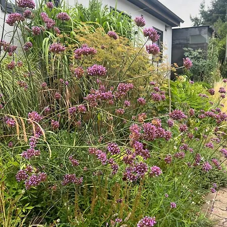 Casa vacanze Atelier De Pfalz-loftstyl Mit Pfalzblick