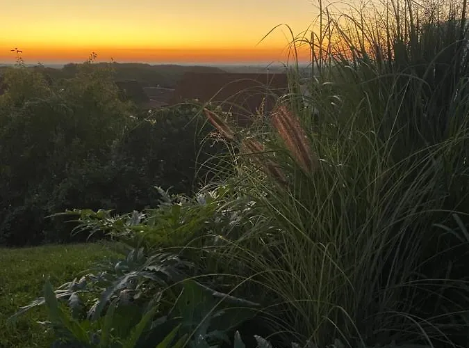 Atelier De Pfalz-loftstyl Mit Pfalzblick Hébergement de vacances *