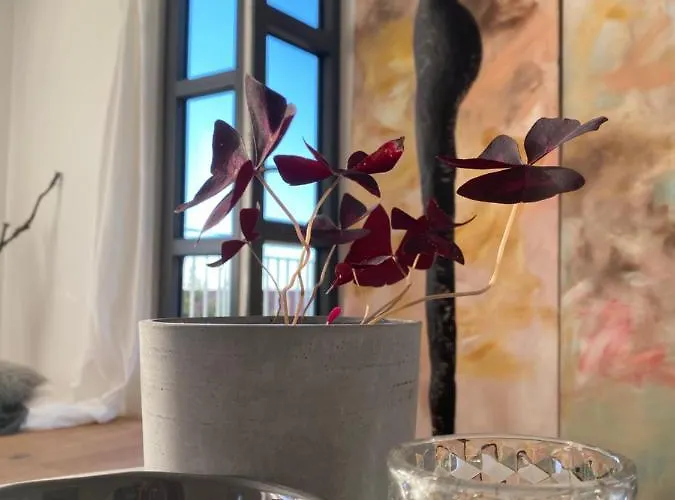 Atelier De Pfalz-loftstyl Mit Pfalzblick * Gleiszellen-Gleishorbach