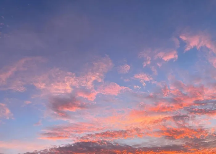 Atelier De Pfalz-loftstyl Mit Pfalzblick