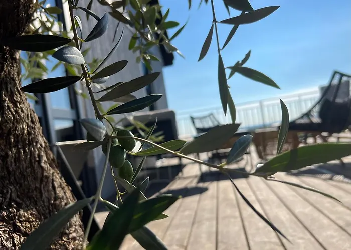 Ferienhaus Atelier De Pfalz-loftstyl Mit Pfalzblick *