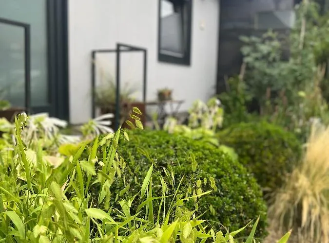 Atelier De Pfalz-loftstyl Mit Pfalzblick 펜션