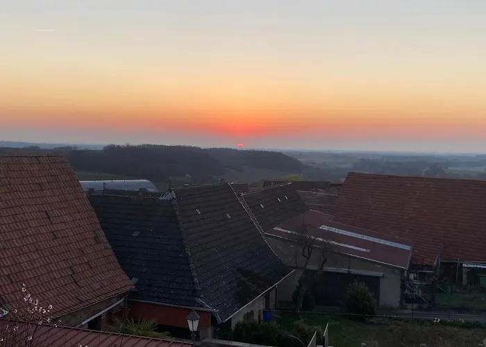 Ferienhaus Atelier De Pfalz-loftstyl Mit Pfalzblick *