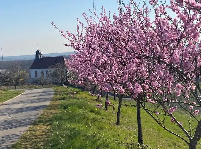 Atelier De Pfalz-loftstyl Mit Pfalzblick Ferienhaus *