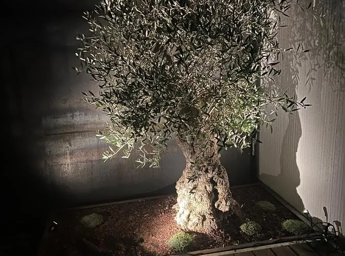 Atelier De Pfalz-loftstyl Mit Pfalzblick 글라이스젤렌글라이쇼르바흐