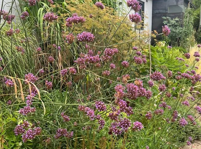 Casa de Férias Atelier De Pfalz-loftstyl Mit Pfalzblick