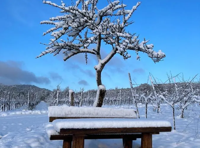 Atelier De Pfalz-loftstyl Mit Pfalzblick 펜션 글라이스젤렌글라이쇼르바흐